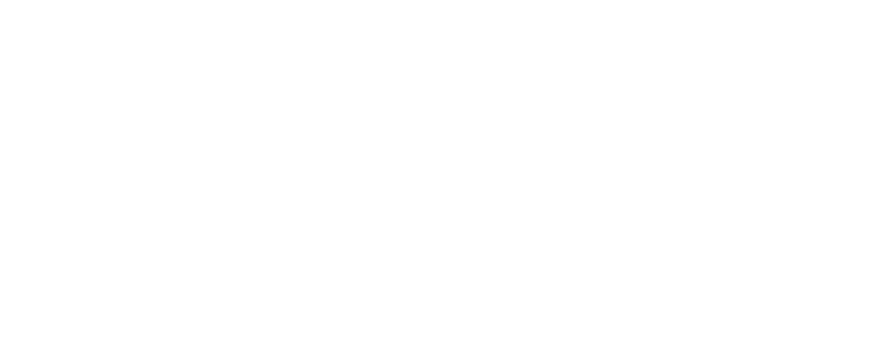 Camille Chastain, Independent for U.S. Senate, Idaho, re-election 2056